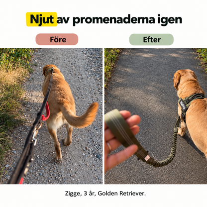 RUFFO™ Dragfri Hundsele