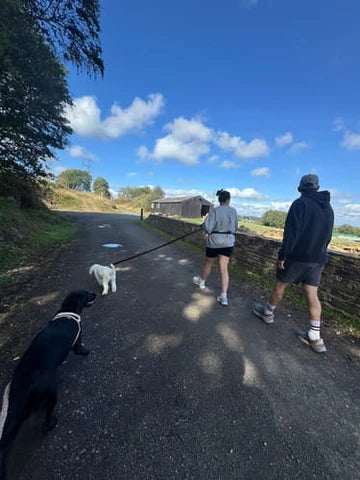 5 000+ hundägare njuter av sina promenader igen!