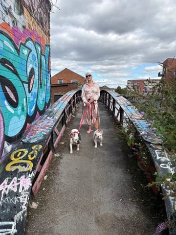 5 000+ hundägare njuter av sina promenader igen!
